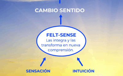 Acceder a nuestra experiencia presente desde Focusing